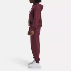 Reebok Classics Archive Essentials Big Logo French Terry Hoodie